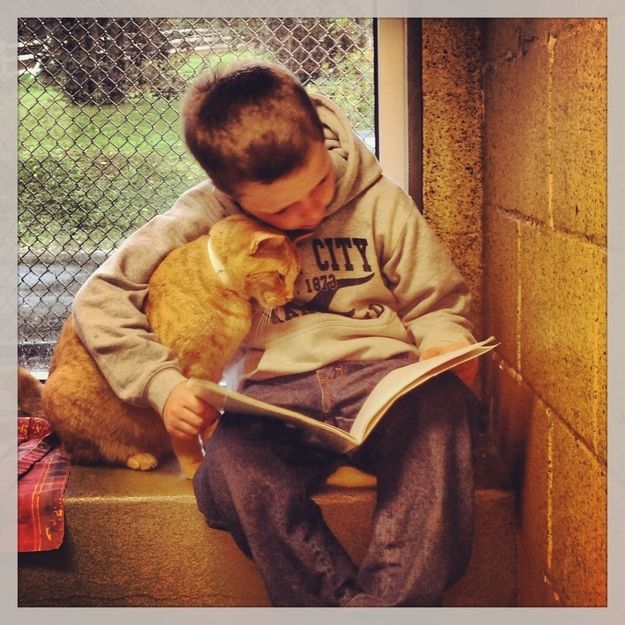 kid reads to cat